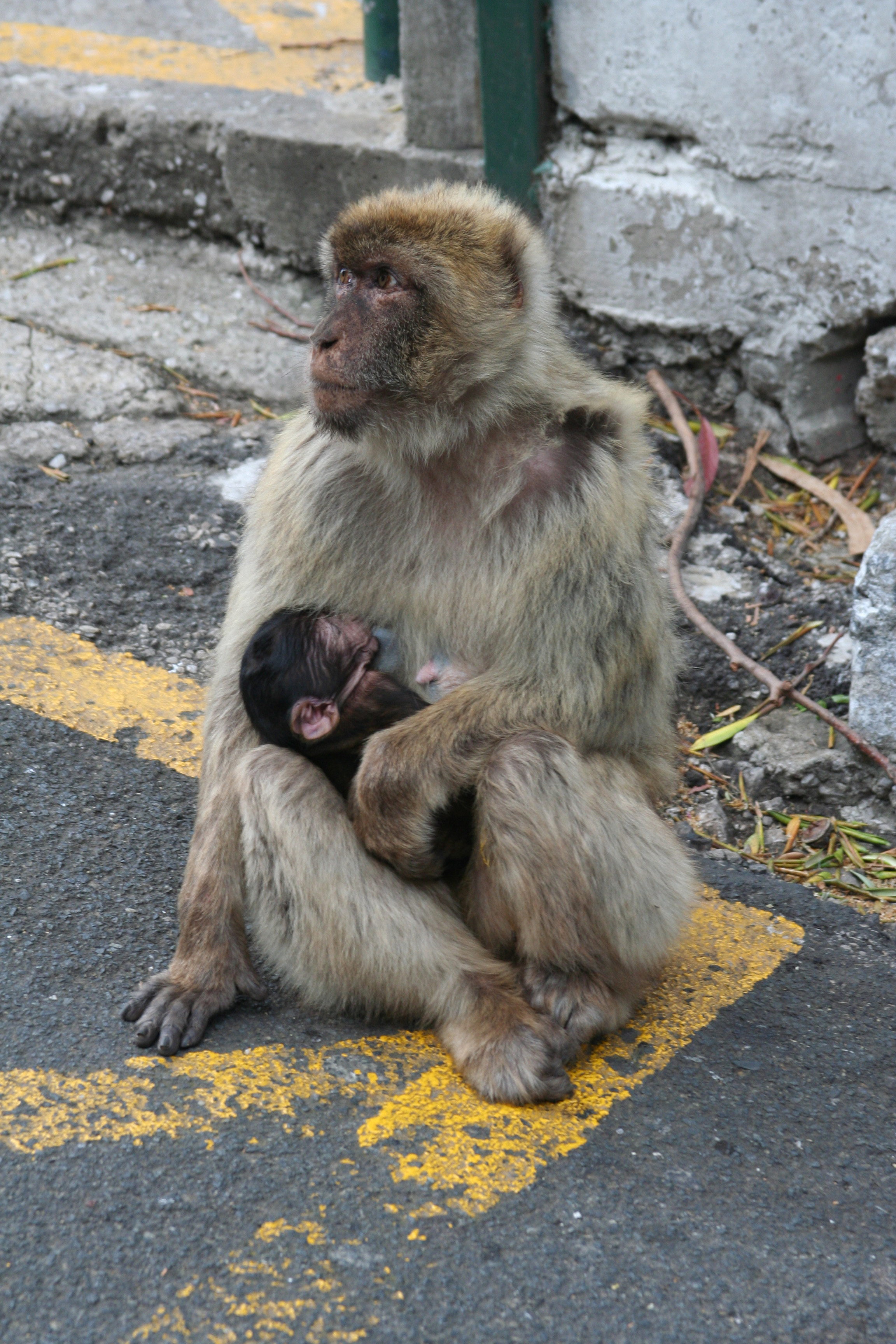 mother & child