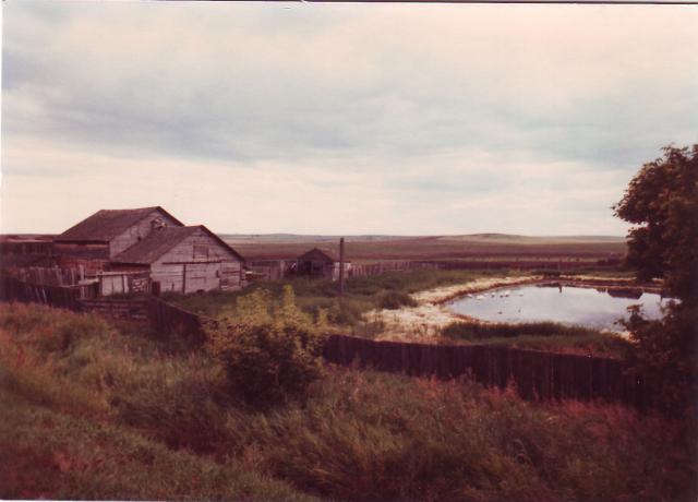 The Farm slough Aug 1972