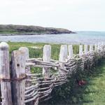 newfie fence