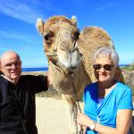 The Great Cabo Camel Ride